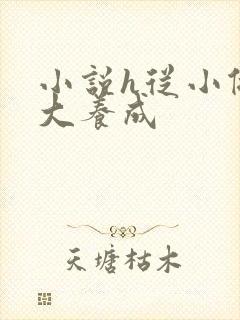 小说h从小做到大养成