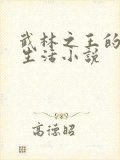 武林之王的退隐生活小说