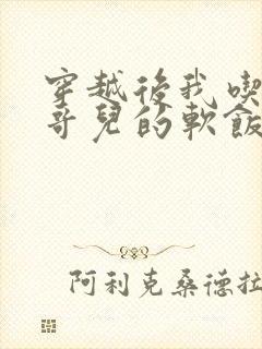 穿越后我吃到了哥儿的软饭炉山灰