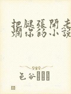 把腿张开老子臊烂你的小说