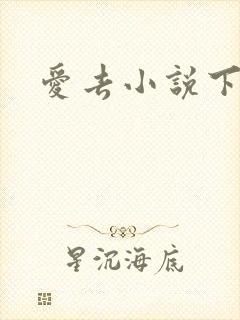 爱去小说下载网