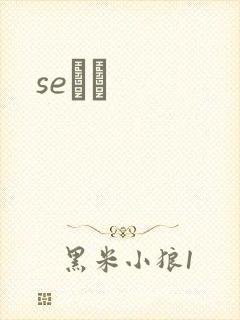 seС˵