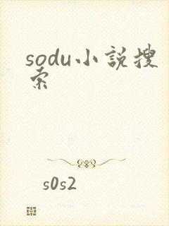 sodu小说搜索