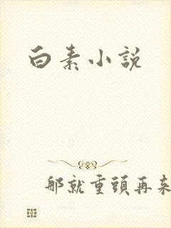 白素小说