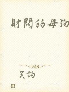 财阀的母狗们