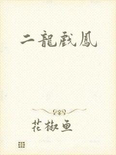 二龙戏凤