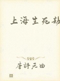 上海生死劫