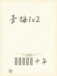 青梅1v2