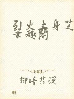 引火上身芝麻糖笔趣阁