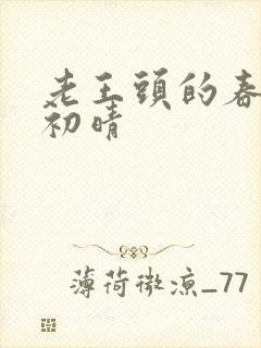 老王头的春天林初晴