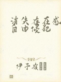 消失存在感消失自由侵犯