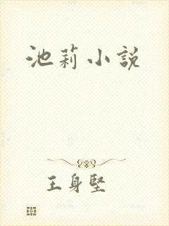 池莉小说