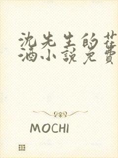 沈先生的花式调酒小说免费阅读