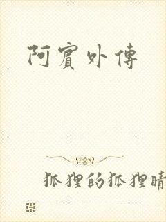 阿宾外传