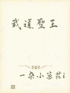 武道圣王