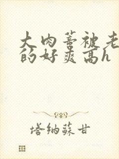 大肉蒂被老头嘬的好爽高h