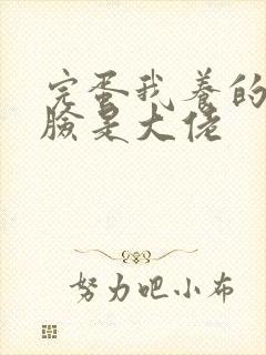 完蛋我养的小白脸是大佬