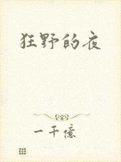 狂野的夜