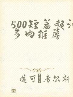500短篇超污多肉推荐