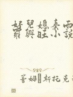 好儿媳秦雨罗明罗兴旺小说