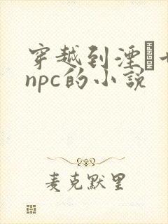 穿越到湮婸世界npc的小说