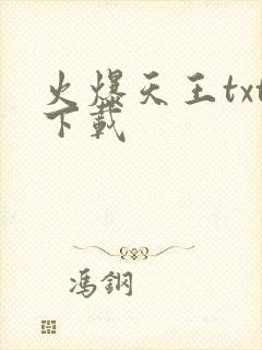 火爆天王txt下载
