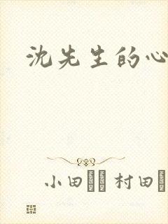 沈先生的心头宝