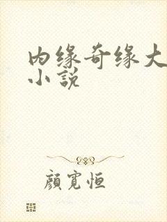 内缘奇缘大团圆小说
