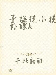 青梅从小摸到大补课h