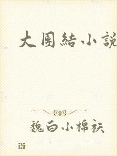 大团结小说全文