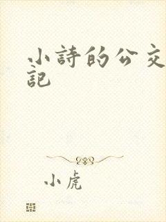 小诗的公交车日记