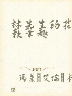 林先生的花式管教笔趣