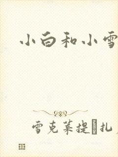 小白和小雪