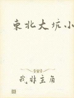 东北大坑小说