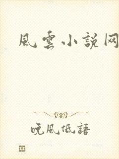 风云小说网