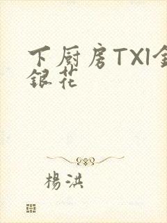 下厨房TXl金银花