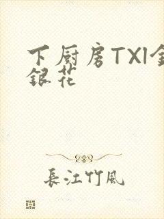 下厨房TXl金银花