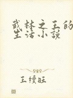 武林之王的退隐生活小说