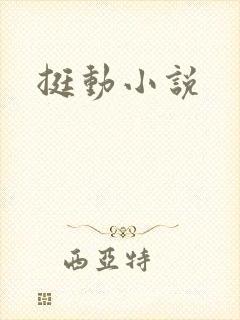 挺动小说