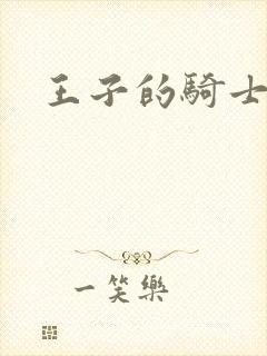 王子的骑士小说