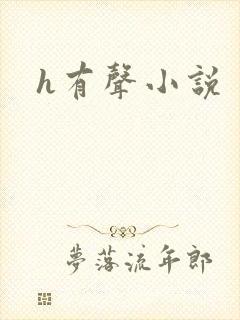 h有声小说