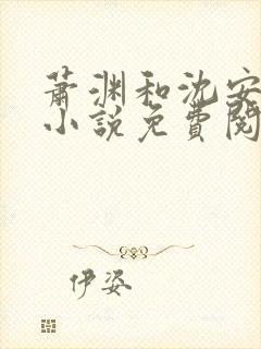 萧渊和沈安安的小说免费阅读