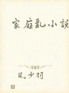 家庭乱小说