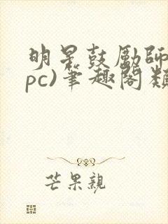 明星鼓励师(npc)笔趣阁类似