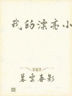 我的漂亮小后妈