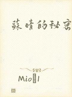 苏晴的秘密小说