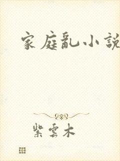 家庭乱小说