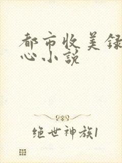 都市收美录宁素心小说
