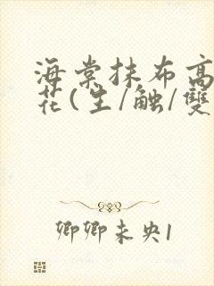 海棠抹布高岭之花(生/触/双)