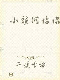 小说网站你懂的